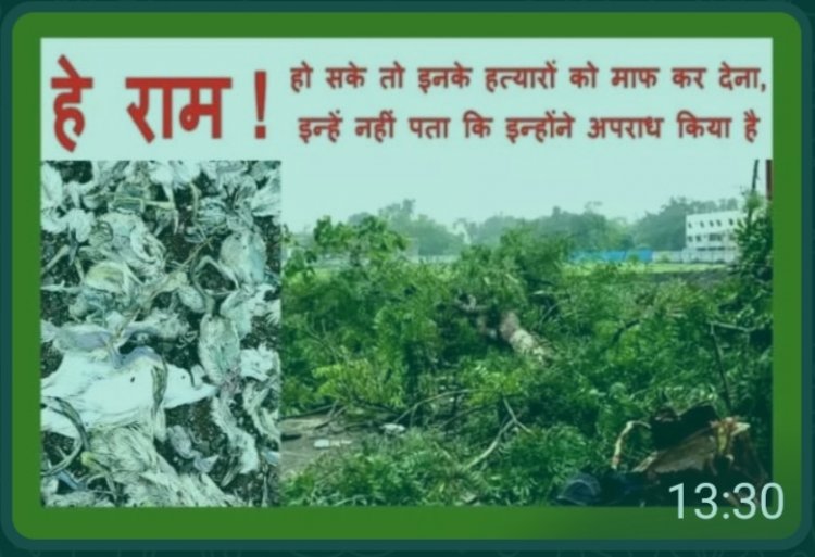 गोल्ड काम्प्लेक्स के नाम पर सेकड़ो जीवो की हत्या घोर अपराध.... दोषियों को अविलम्ब न्यायोचित सज़ा मिले - राव