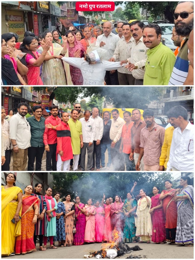 हिन्दू विरोधी बयान को लेकर नमो ग्रुप द्वारा राहुल गांधी का पुतला दहन किया।