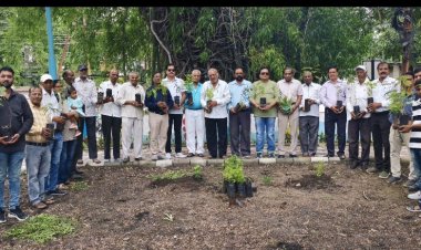 एक पौधा स्वयं के लिए,.........