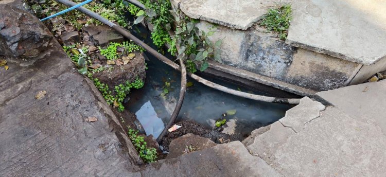 सैलाना में दूषित जल आपूर्ति को लेकर विधायक कमलेश्वर डोडियार ने परिषद पर लगाए गंभीर आरोप